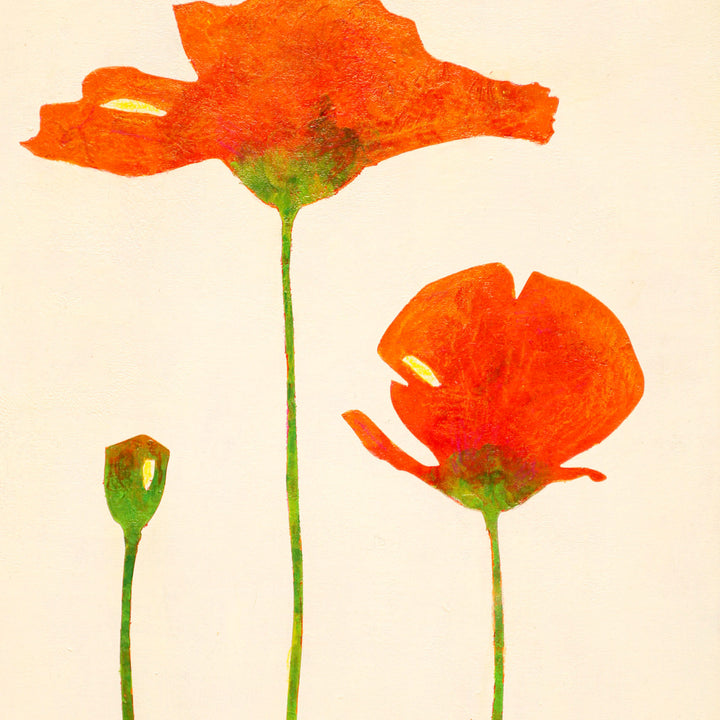 Orange poppies No.182
